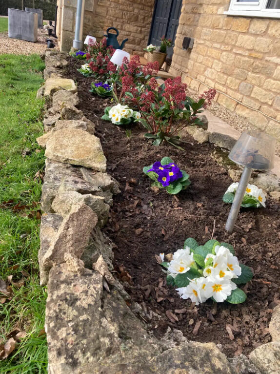 Flower Bed